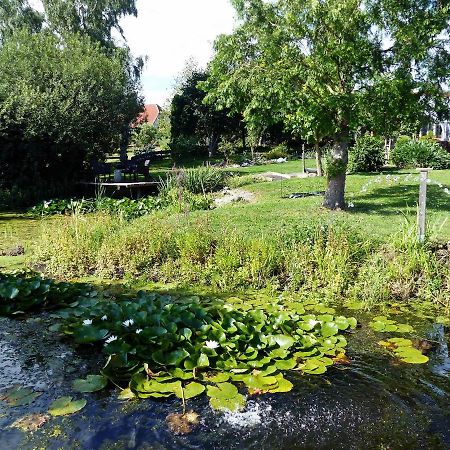 "Balmgarten" Im Naturpark Usedom, Bio Solarhaus Mit Grossem Garten Exterior foto